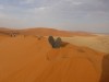 Namibia Dune 45.jpeg